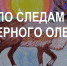 Архангелогородцам предлагают принять участие в экологическом квесте - Сетевое издание Север