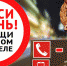 Сообщите о пьяном водителе! - Сетевое издание Север