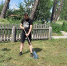 По программе «Молодежь Поморья» в регионе трудоустроено более 1100 подростков - Сетевое издание Север