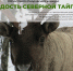 В Поморье дан старт природоохранному творческому конкурсу - Сетевое издание Север