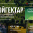 Для участников программы «Гектар в Арктике» разработаны сервисы, направленные на поддержку их идей - Сетевое издание Север