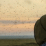 Фото: Fufachew Ivan Andreevich / Shutterstock / Fotodom - Сетевое издание Север