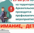 В Поморье проводится профилактическое мероприятие «Внимание, дети!» - Сетевое издание Север