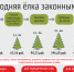 Лесничества Архангельской области приступают к заключению договоров на заготовку новогодних елей - Сетевое издание Север