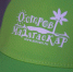 Более 200 школьников Поморья отправились на завершающую смену программы «Дети Арктики» - Сетевое издание Север