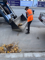 Летнее содержание улиц города Архангельска