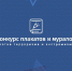 Художников Поморья приглашают к участию во всероссийском конкурсе плакатов и муралов - Сетевое издание Север