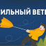 Осторожно: сильный ветер! - Мезенский район