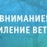 Усиление ветра по всей области - Мезенский район