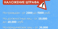 Вниманию индивидуальных предпринимателей и организаций! - Мезенский район