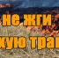 Весенний пал травы: опасность и ответственность | Официальный сайт  Новосибирска - Мезенский район