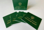 Фото предоставлено министерством природных ресурсов и ЛПК Архангельской области